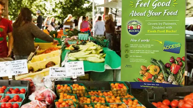 Produce stand at a local farmers market, fruits and vegetables displayed.