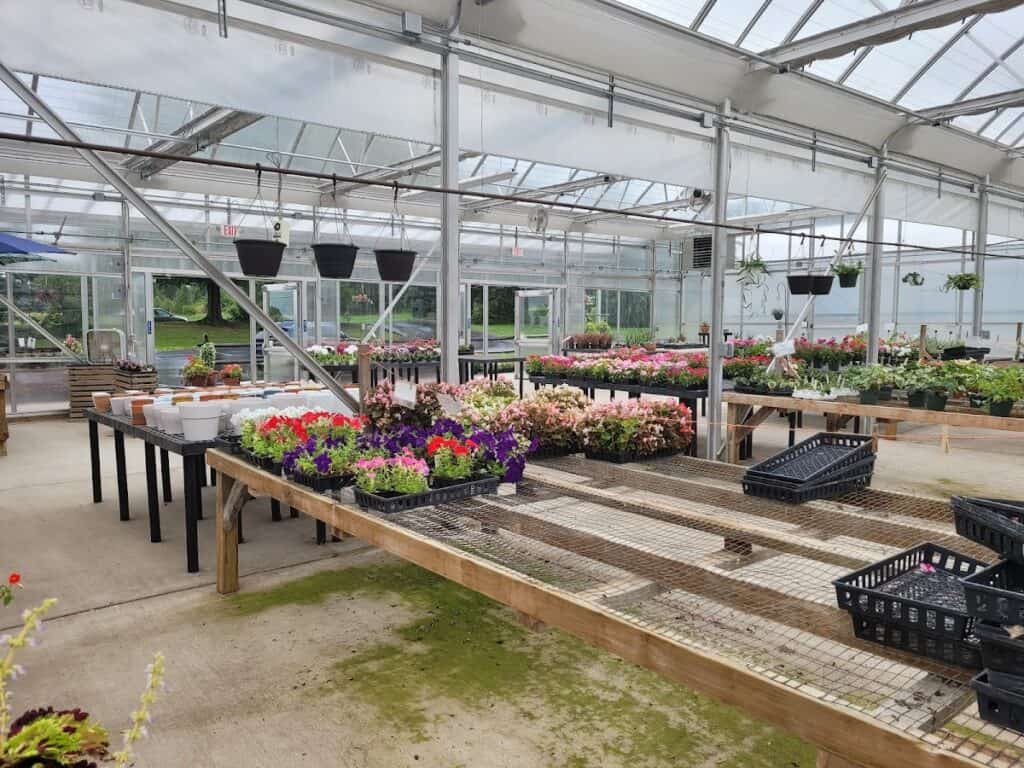 Buzas Greenhouses