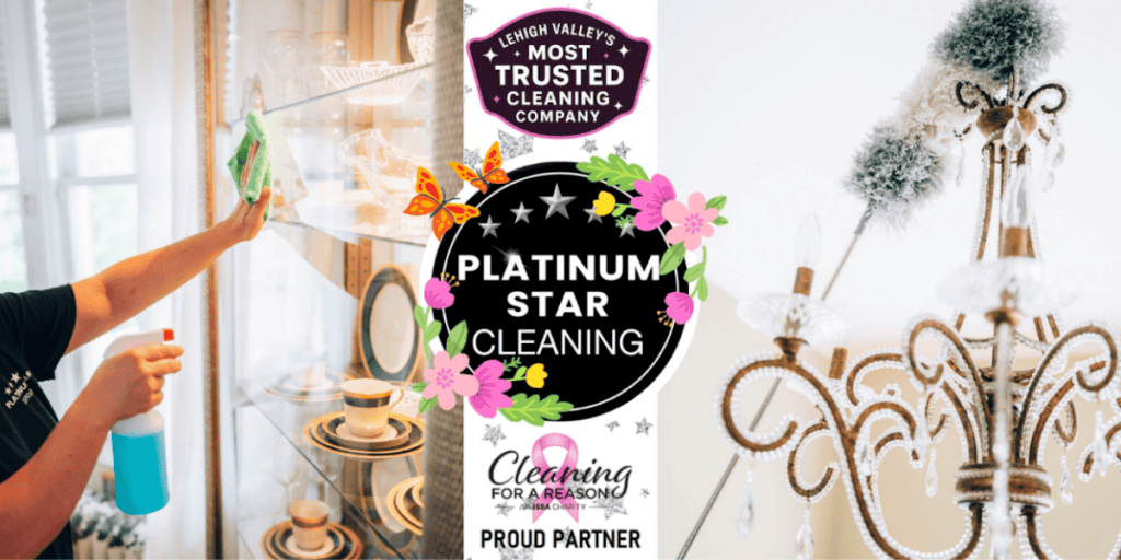 Platinum Star Cleaning
