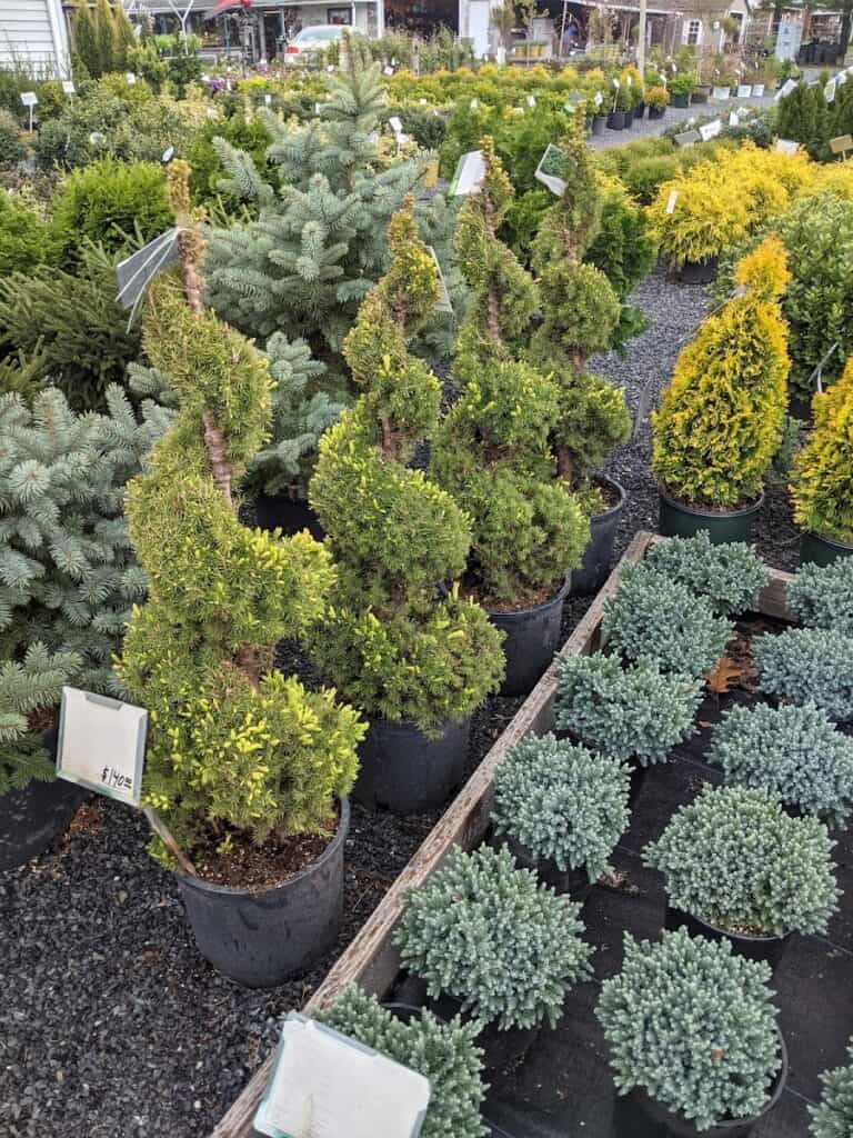 Blue Barn Nursery