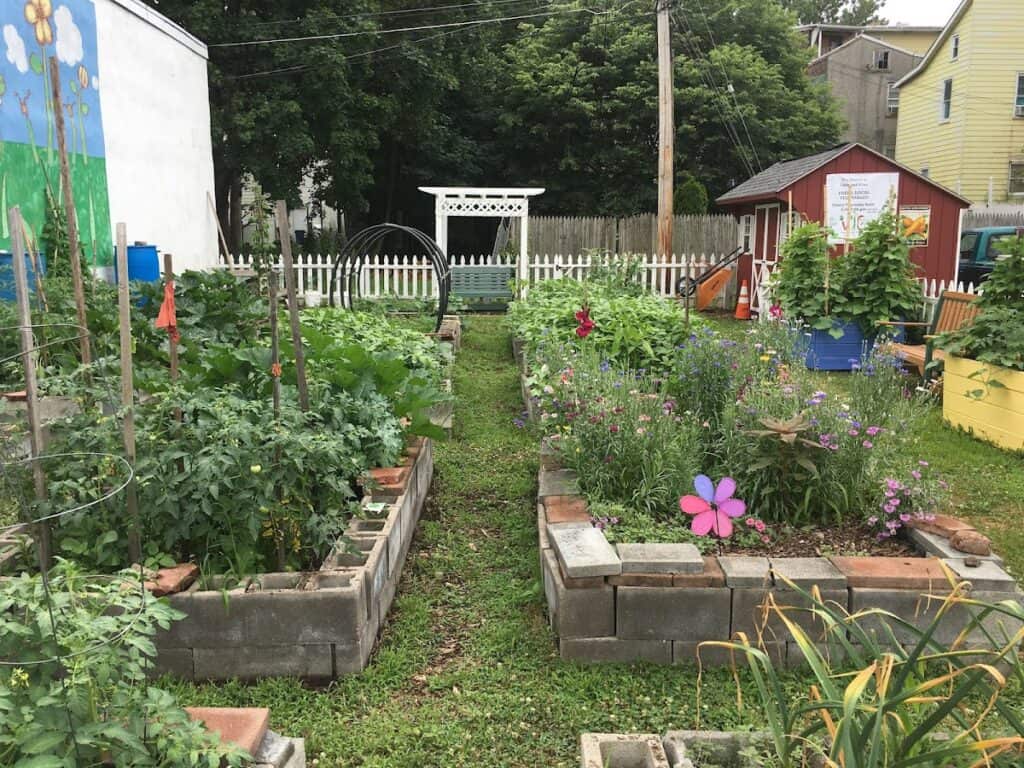 South 10th and Pine Community garden