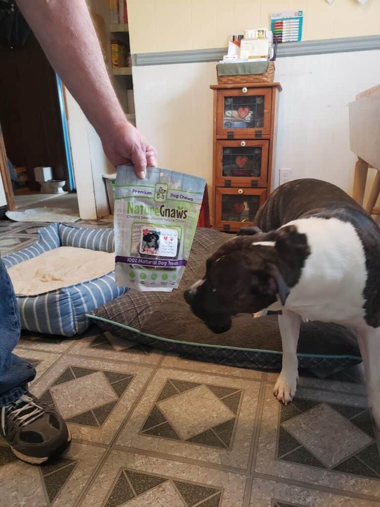 Animal Food Bank Of The Lehigh Valley