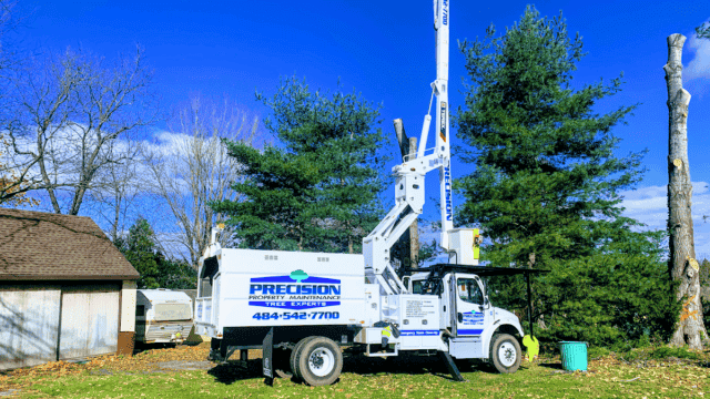 Tree trimming service using bucket truck by Precision Tree Experts in a residential area with blue sky and green trees.