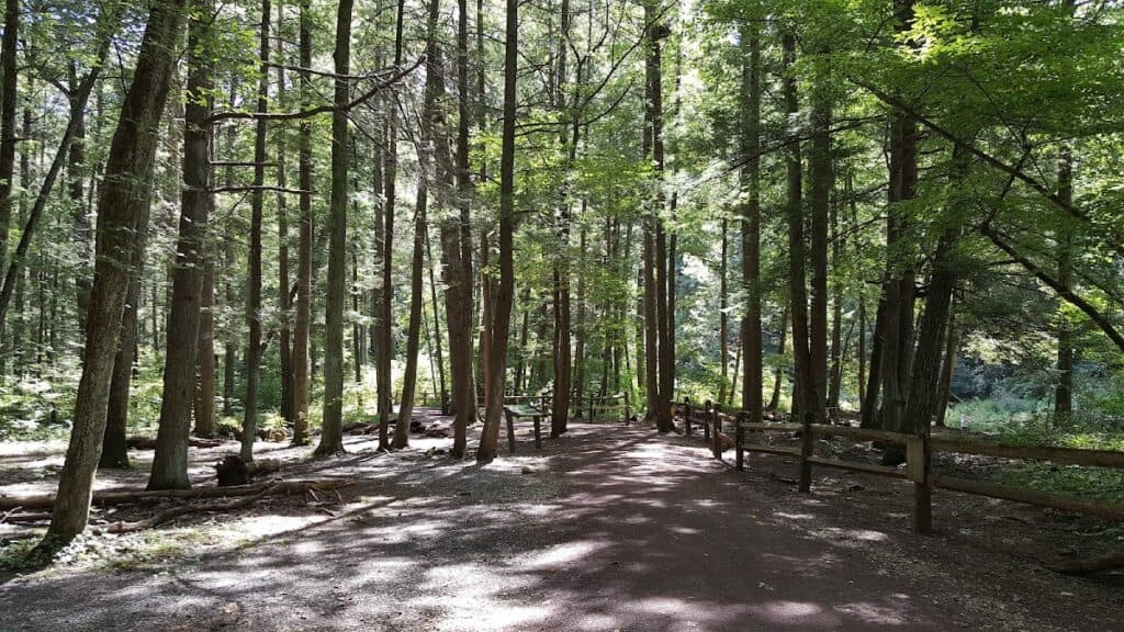 Shaded forest trail at Jacobsburg Environmental Education Center with tall trees and sunlight filtering through leaves.