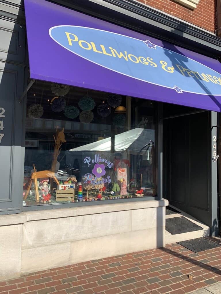 Storefront of Polliwogs & Petunias with a purple awning and window display of toys and decorations, located at 245. Bright and inviting shop exterior.