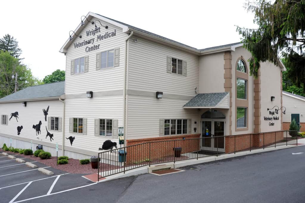 Exterior view of Wright Veterinary Medical Center, a modern veterinary clinic with white siding, large windows, and a brick accent wall, surrounded by trees and parking spaces.