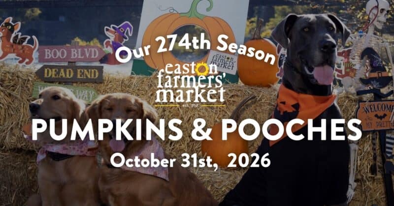 Dogs wearing Halloween costumes at Easton Farmers Market for Pumpkins & Pooches event on October 31, 2026.