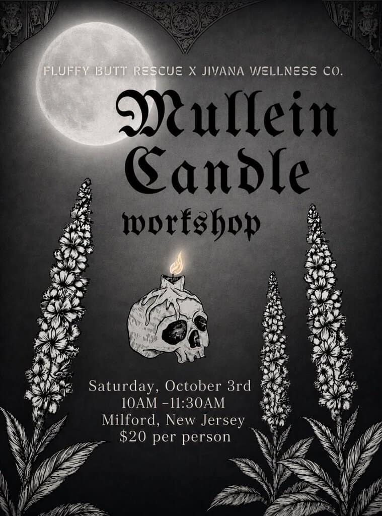 Flyer for Mullein Candle Workshop featuring a skull candle, moonlit night, and tall plants, scheduled for October 3rd in Milford, New Jersey, costing $20 per person.