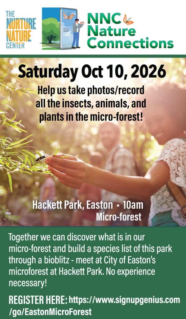Children and adults participating in a bioblitz event in Hackett Park's micro-forest, observing insects and plants for nature documentation on October 10, 2026.