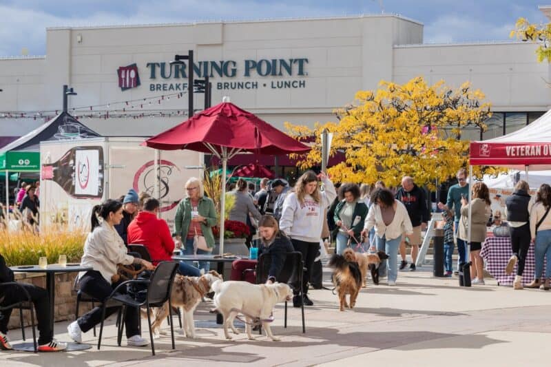 People and dogs enjoying Barktoberfest event at Turning Point with food stalls and autumn trees in the background.